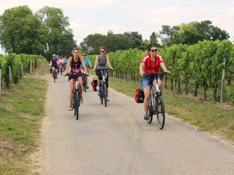 bordeaux-vineyards-route-des-grands-crus
